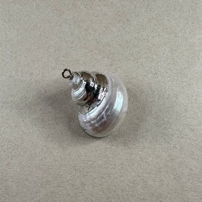Dije Caracol Nácar Terminación Plateado 30 x 24 x 15 mm