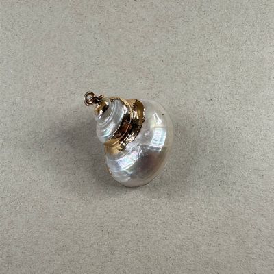 Dije Caracol Nácar Terminación Dorado 30 x 24 x 15 mm