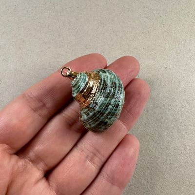 Dije Caracol Terminación Dorado Teñido Verde 40 x 30 x 20 mm