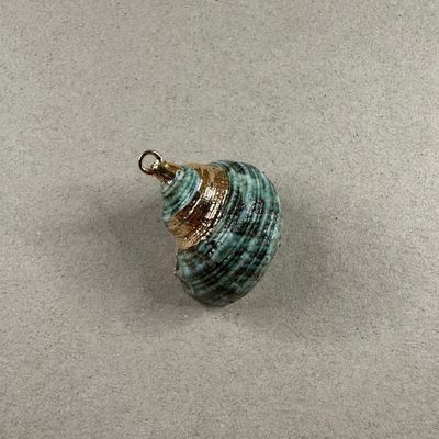 Dije Caracol Terminación Dorado Teñido Verde 40 x 30 x 20 mm