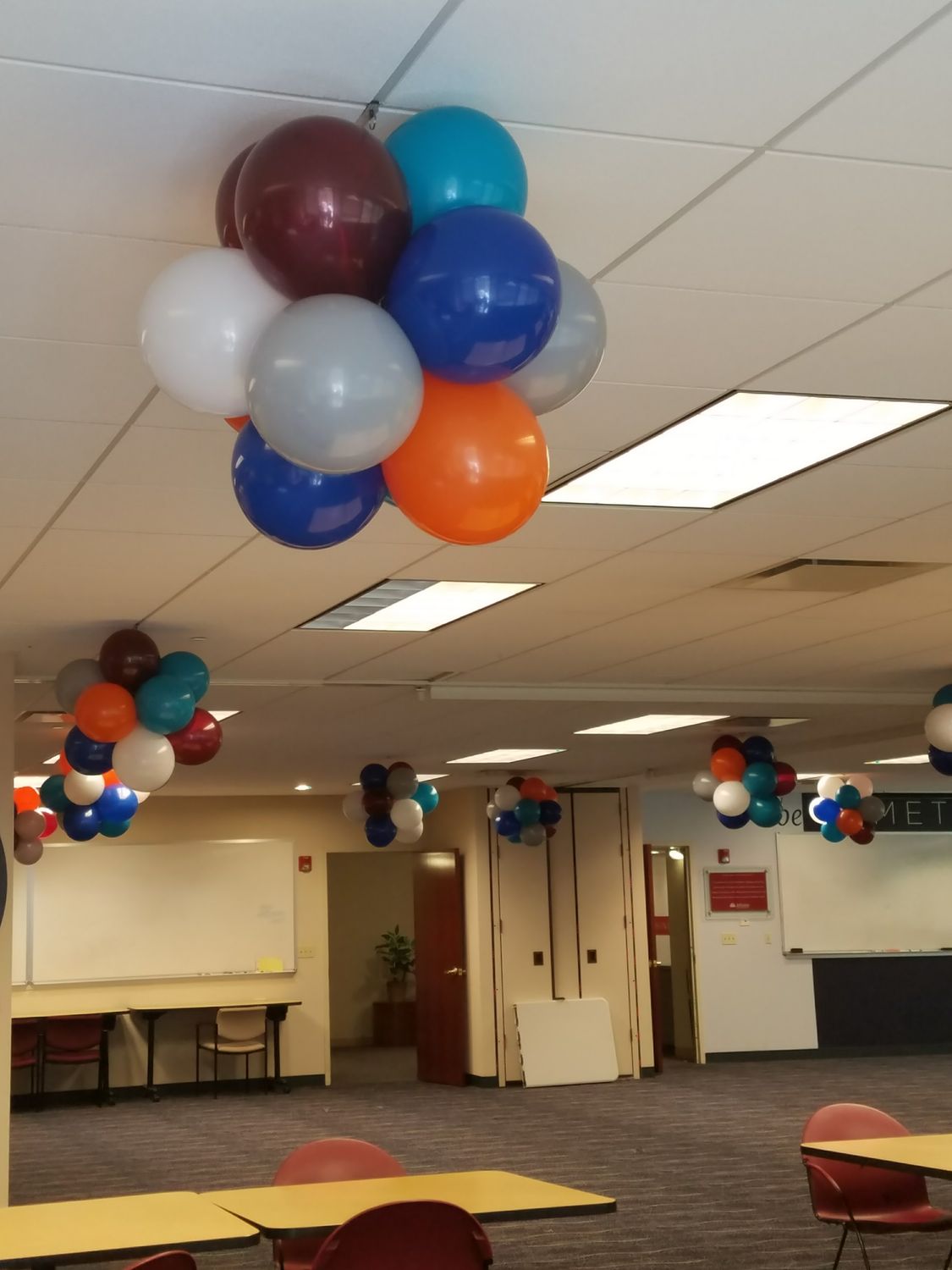 Pom Pom Ceiling Topiaries