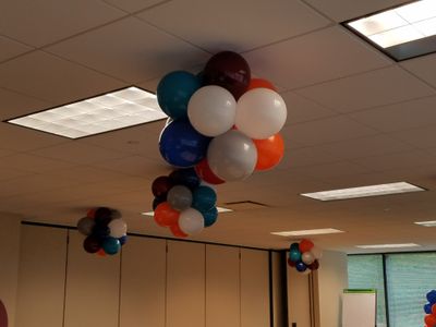 Pom Pom Ceiling Topiaries