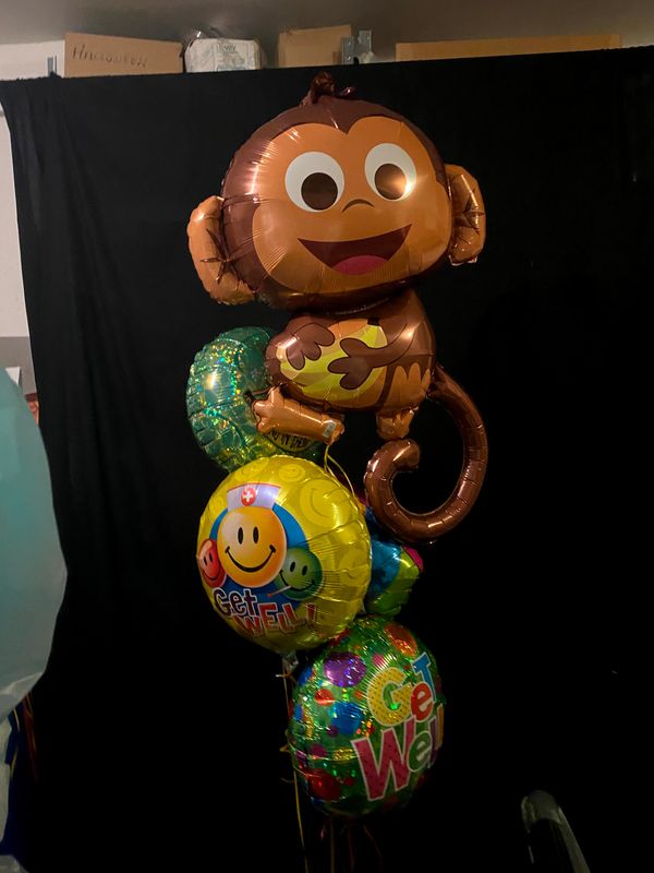 Silly Monkey Get Well Bouquet