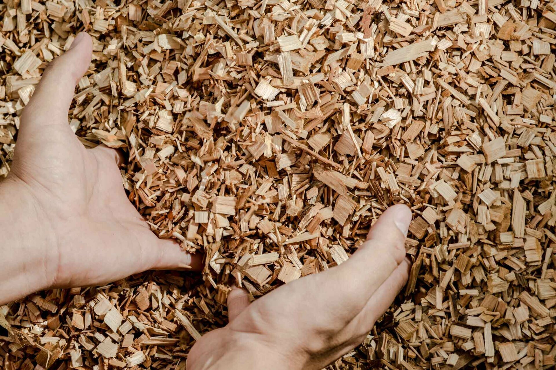 Wood Chips