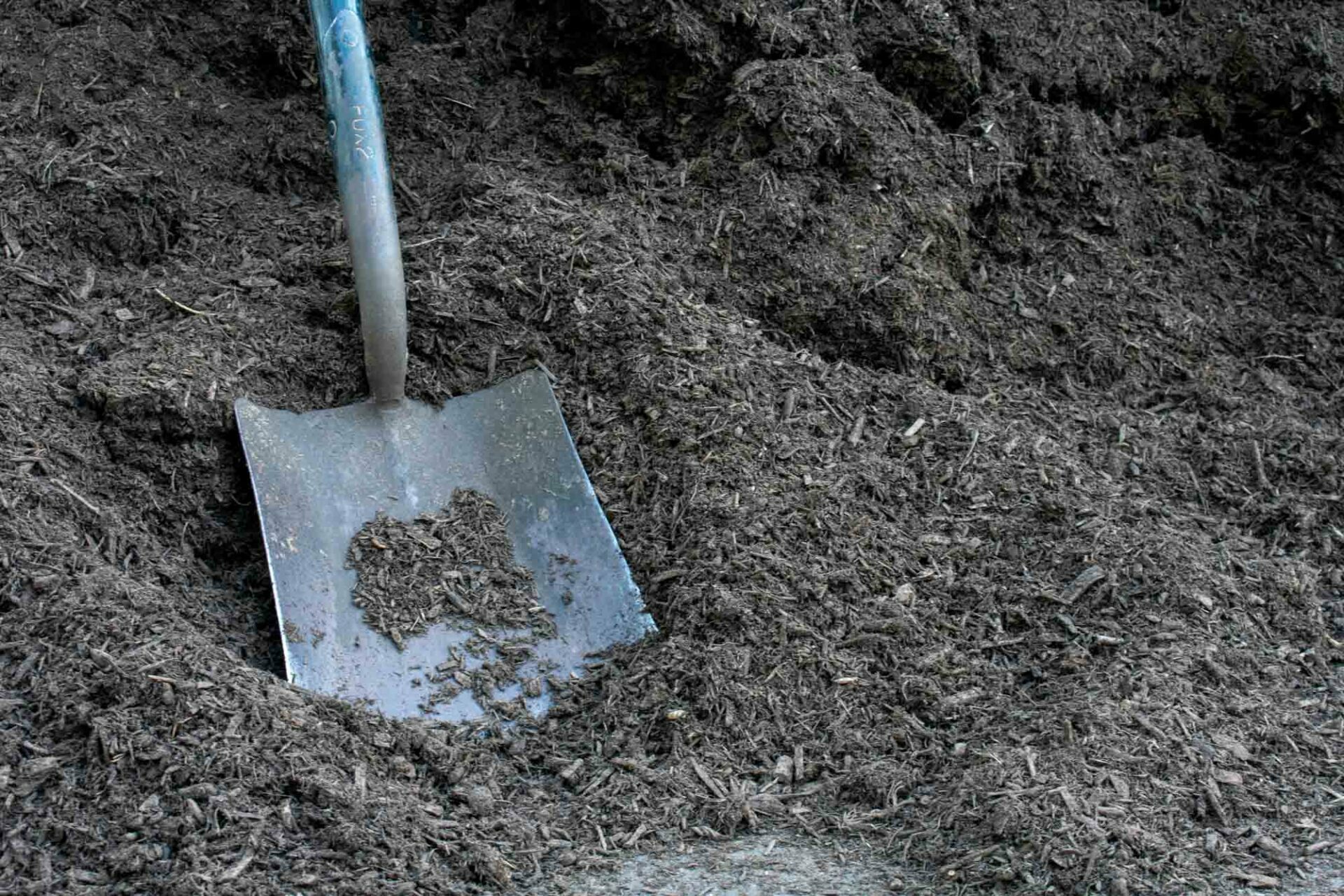 Black Mulch