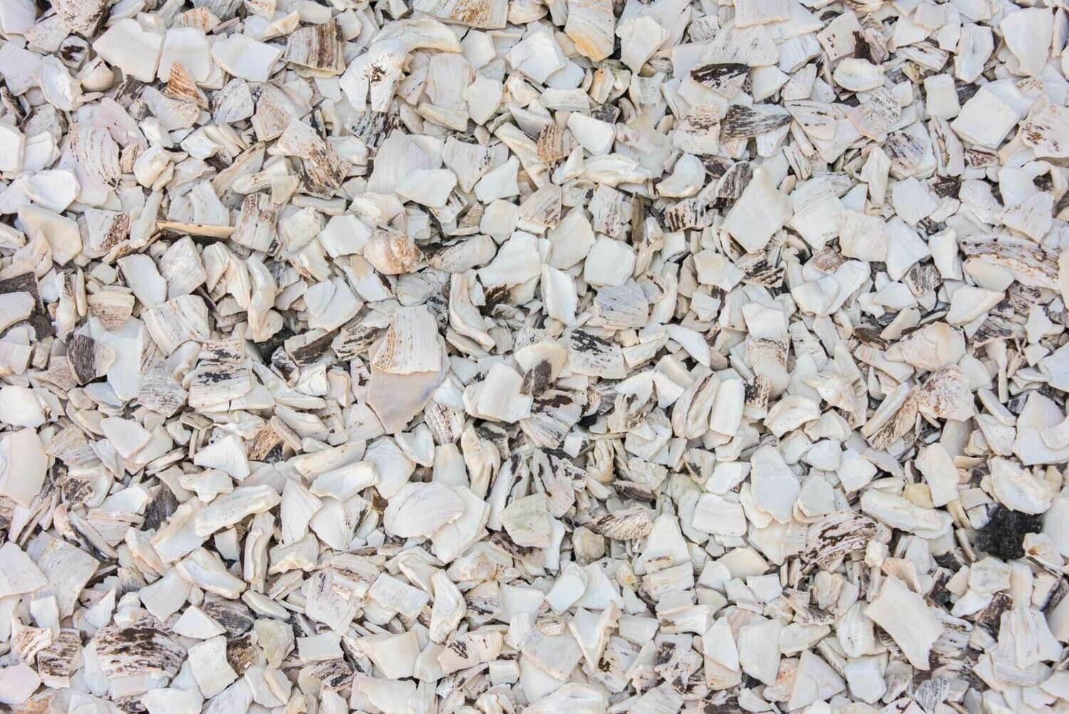 Crushed Sea Shells  AA Will Materials Corporation
