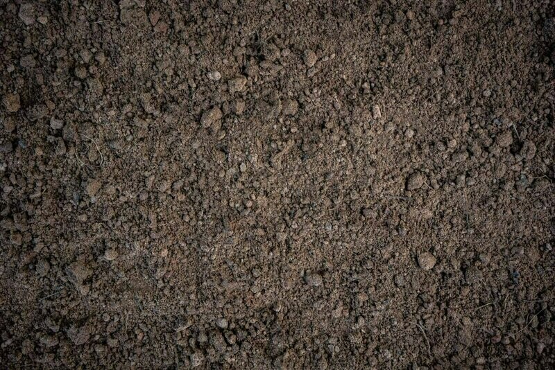 Screened Loam