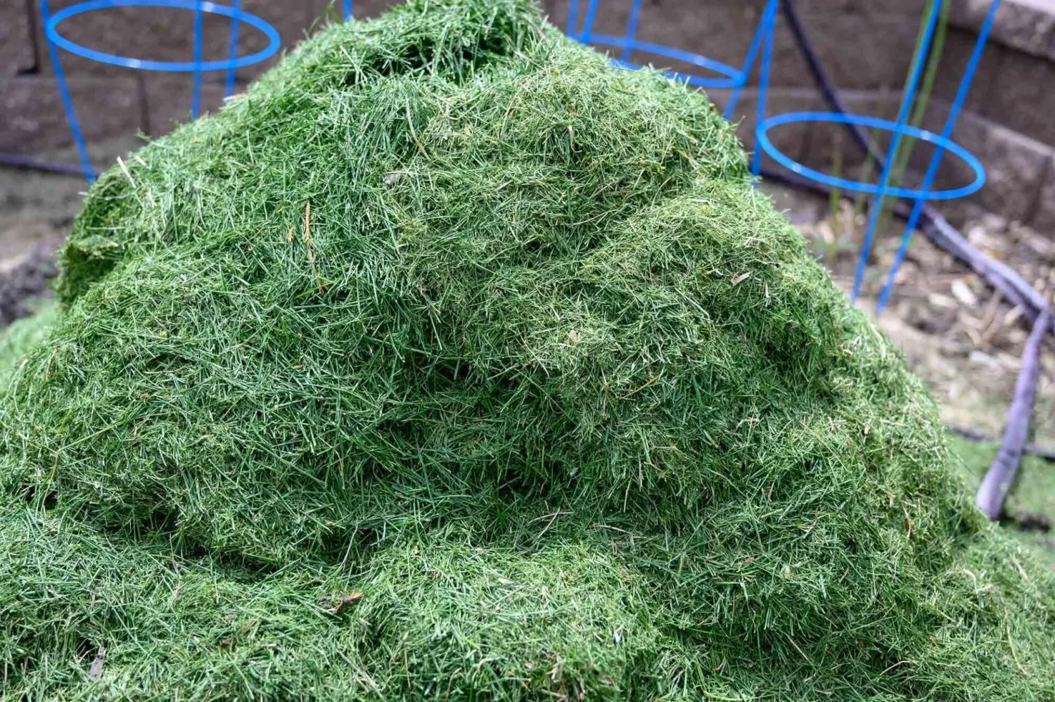 Grass Disposal