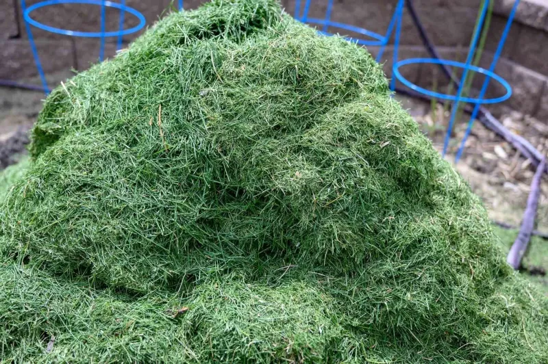 Grass Disposal