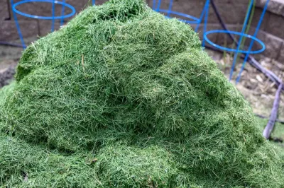 Grass Disposal Grass Disposal