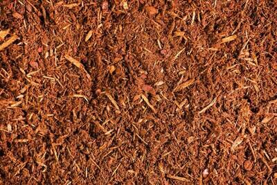 Hemlock Mulch Hemlock Mulch