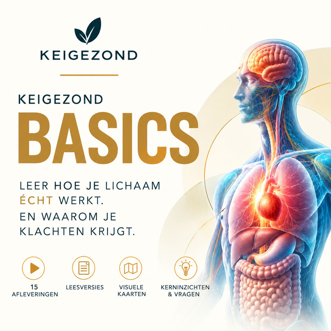 KEIGEZOND Basics (pre-order: maandag online)