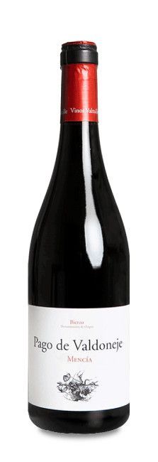 Pago de Valdoneje