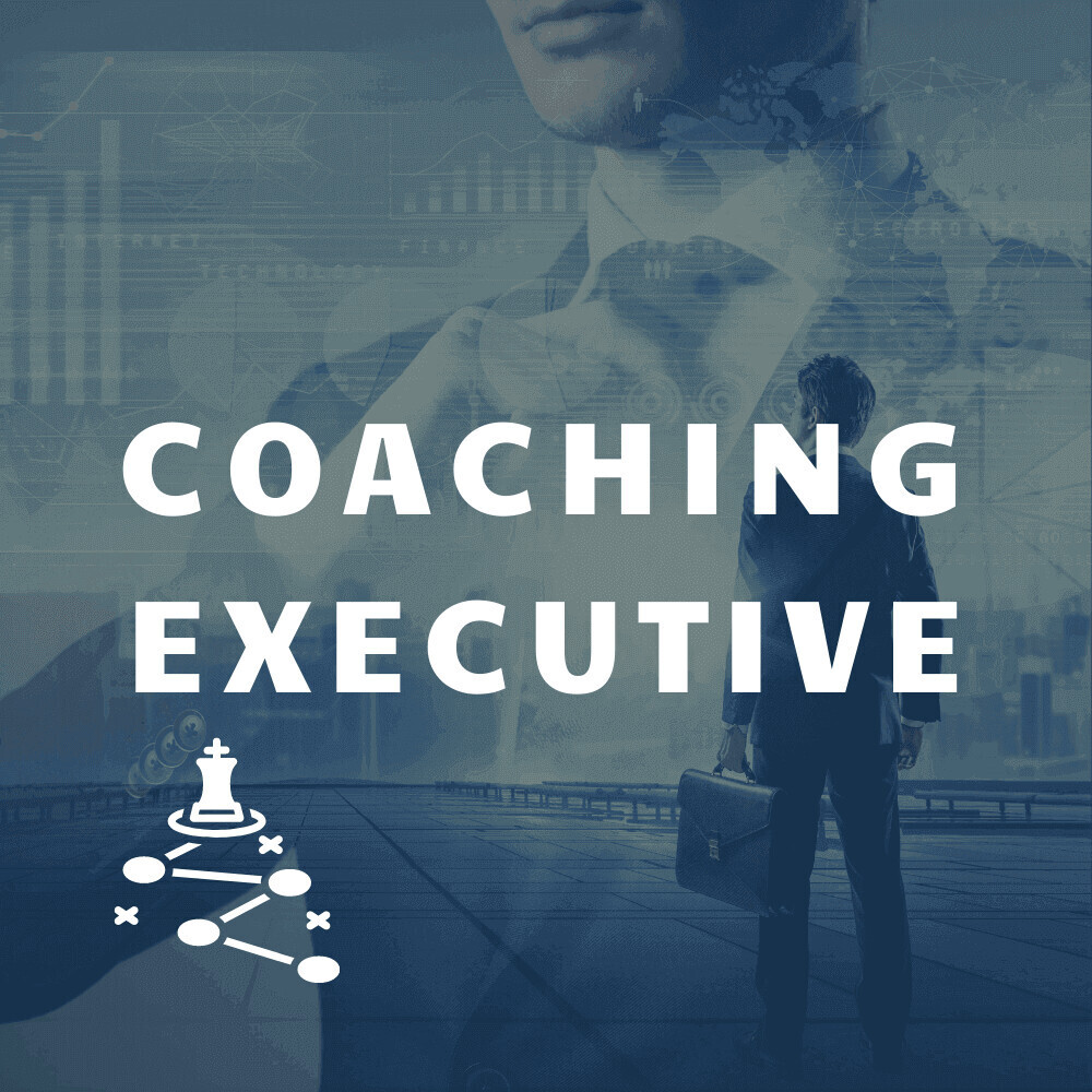 Coaching Executive 1 sesja online
