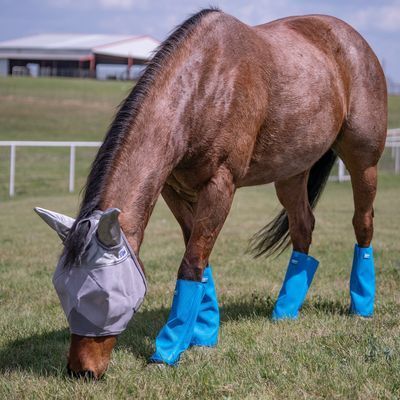Fly Mask