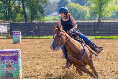 Reins