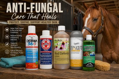 Anti-Fungal