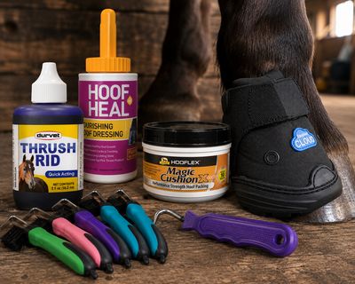 Hoof Care