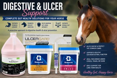Digestive and Ulcers