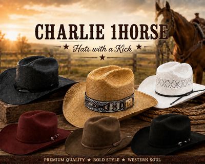Charlie 1Horse