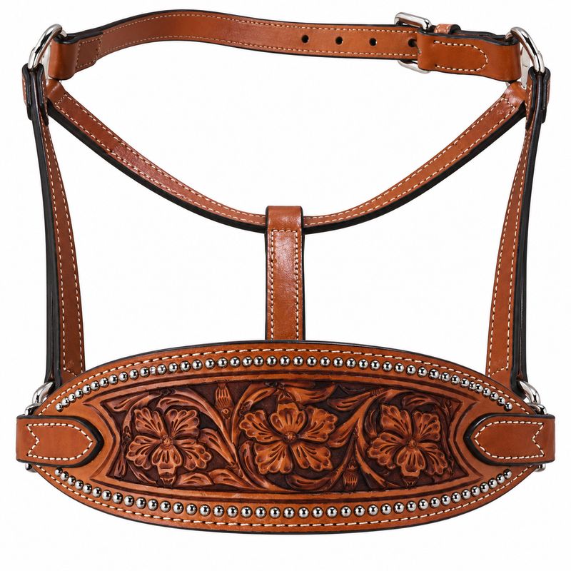 Billy Cook Halter