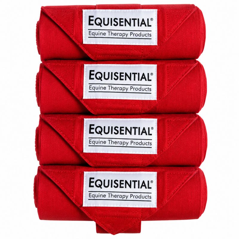 Professional Choice EQ Standing Bandages