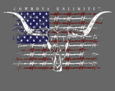 Moss Bros. Graphic Hoodie Barbwire Flag  HD-1643, Hoodies: S
