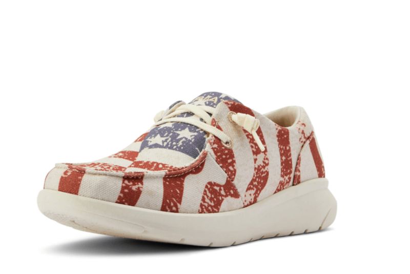 Hilo American Flag 10040317