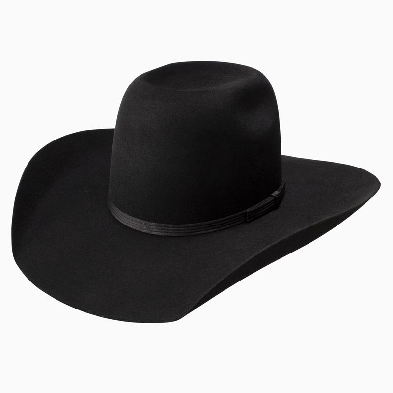 Resistol Hooey Day Money Black Felt Cowboy Hat RWHODM-90420766