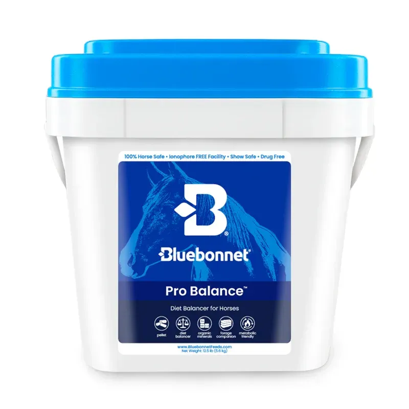 Pro Balance 12.5lb Pail