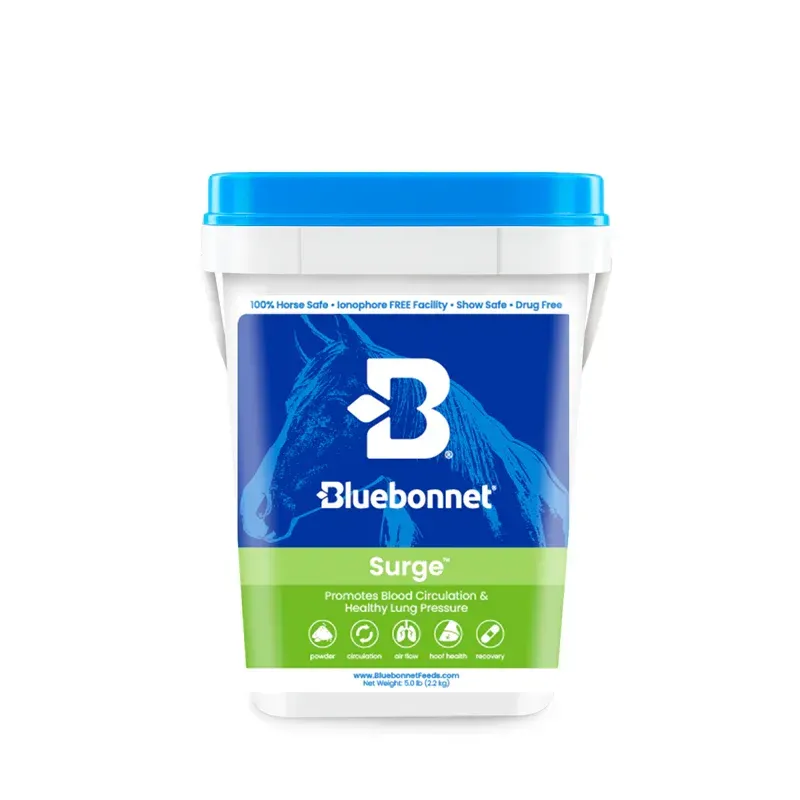 Surge Powder 5lb. Pail