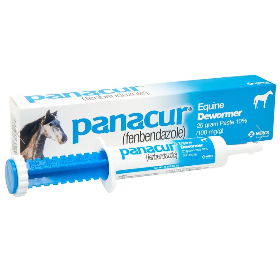 Panacur Horse Dewormer Paste