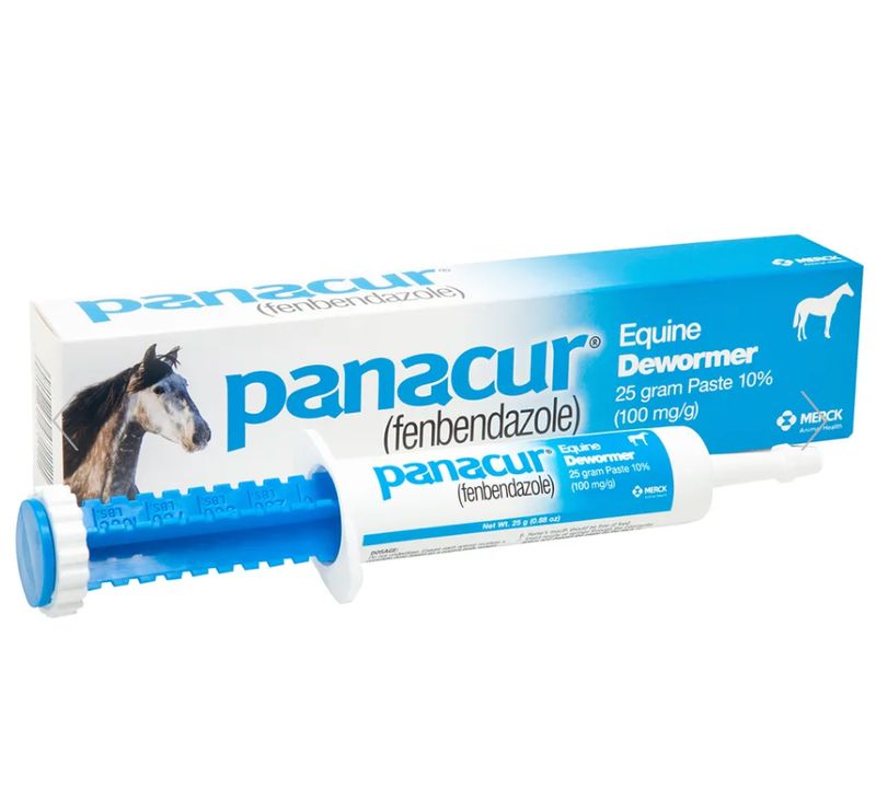 Panacur Horse Dewormer Paste