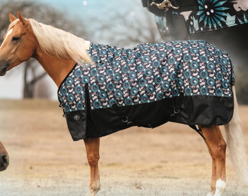 Professional Choice Bison Winter Blanket PCWB