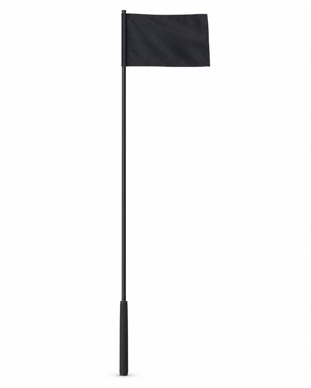 Shiloh Training Flags