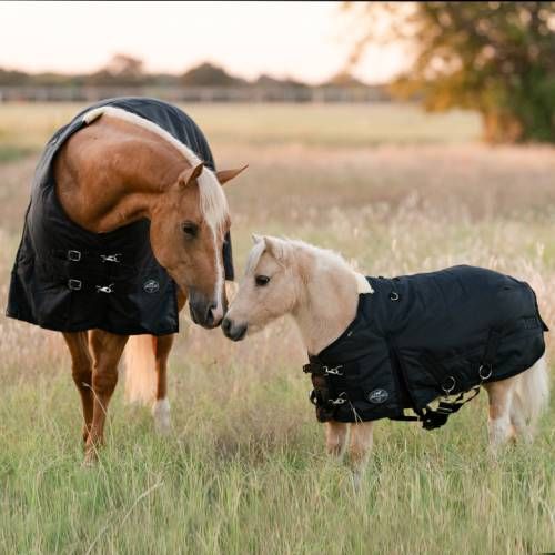 Professional Choice 1200 Black Winter Blanket PCWB