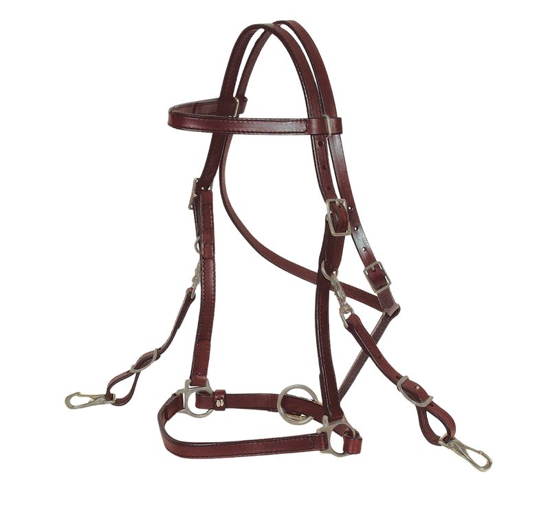 Circle Y 3/4 Trail Bridal 0605-0001