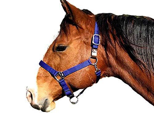 Equi-Sky Basic Breakaway Halter