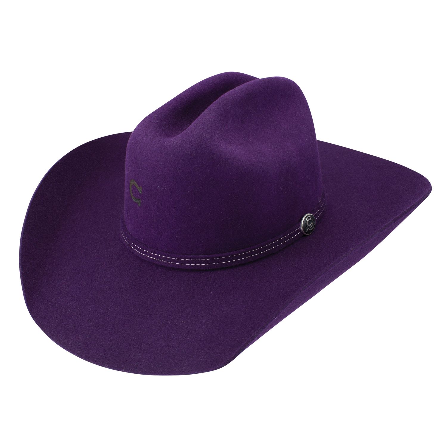 Charlie 1 Horse Dime Store Cowgirl Purple Felt Cowboy Hat CWDSCG-7240D6, Hats Fitted: 6 3\4