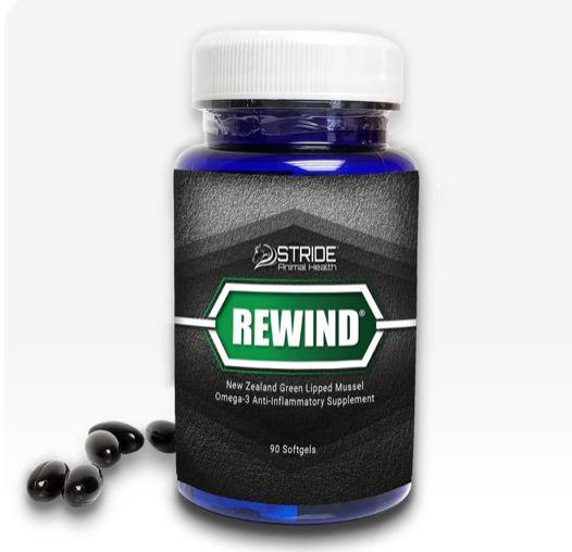 Bluebonnet Rewind People