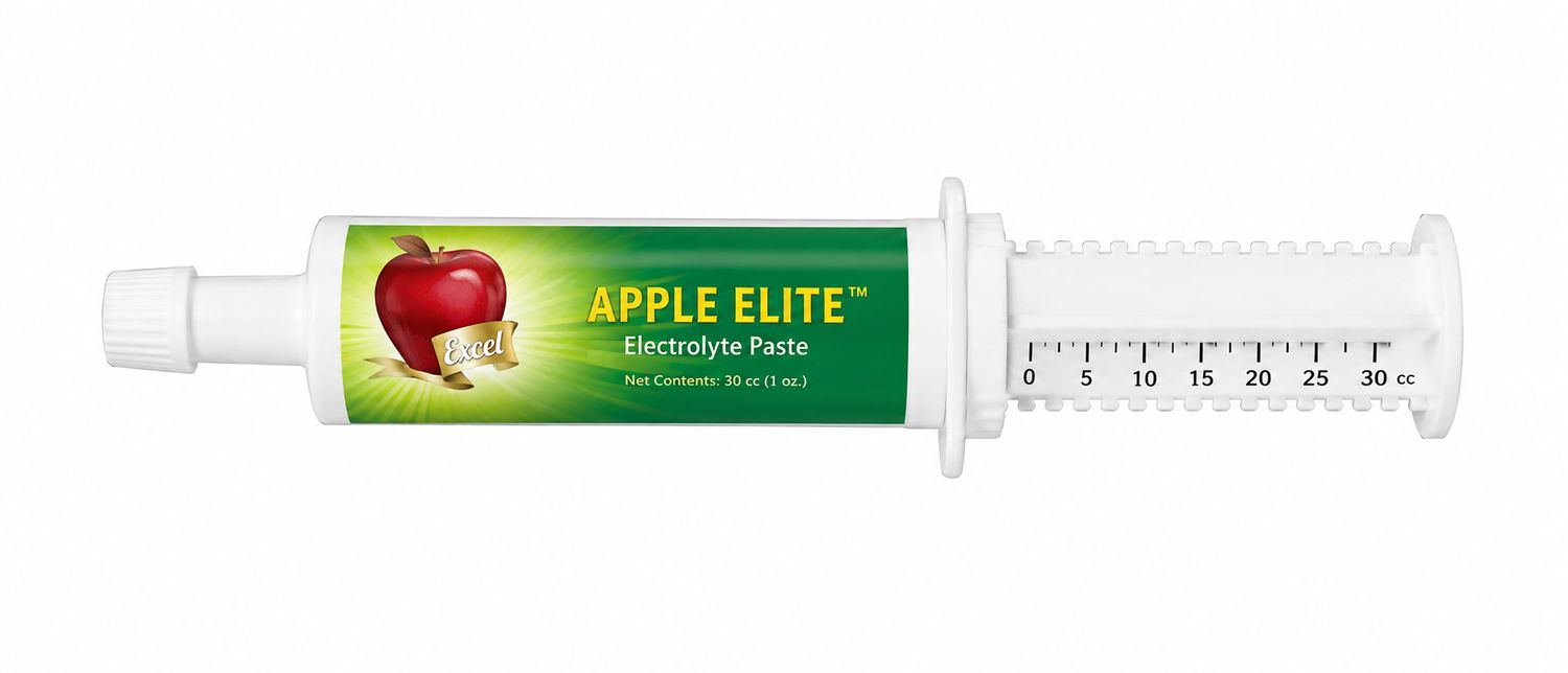 Apple Elite Paste Electrolyte Apple Elite Paste Electrolyte