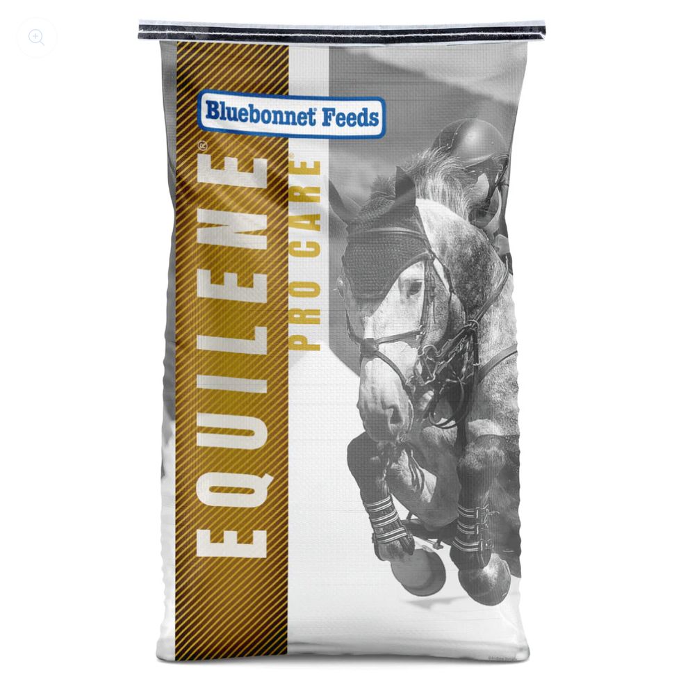 Bluebonnet Intensify Equilene Pro Care Bluebonnet Intensify Equilene Pro Care