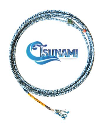 Cactus Tsunami, name: Breakaway 9.0 24'