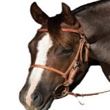 Professional Choice 4591HL Trail Halter Bridle