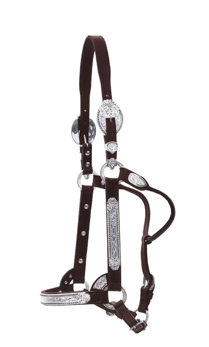 Circle Y Show Halter #0608-1000 Circle Y Show Halter #0608-1000