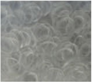 Professional Choice Slick Bands #SBND, name: Clear