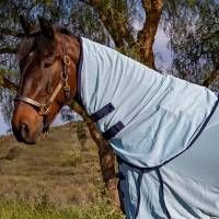 Professional Choice Theramic Fly Neck Cover PCTFN