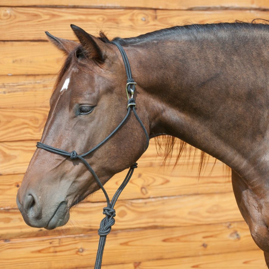 Classic Equine Adjustable Halter W\Lead Classic Equine Adjustable Halter W\Lead
