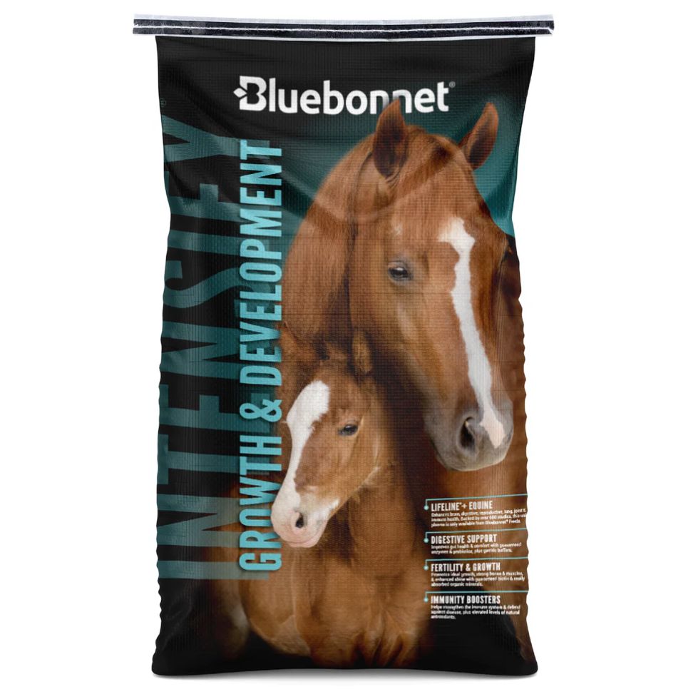 Bluebonnet Intensify Growth & Developement Bluebonnet Intensify Growth & Developement