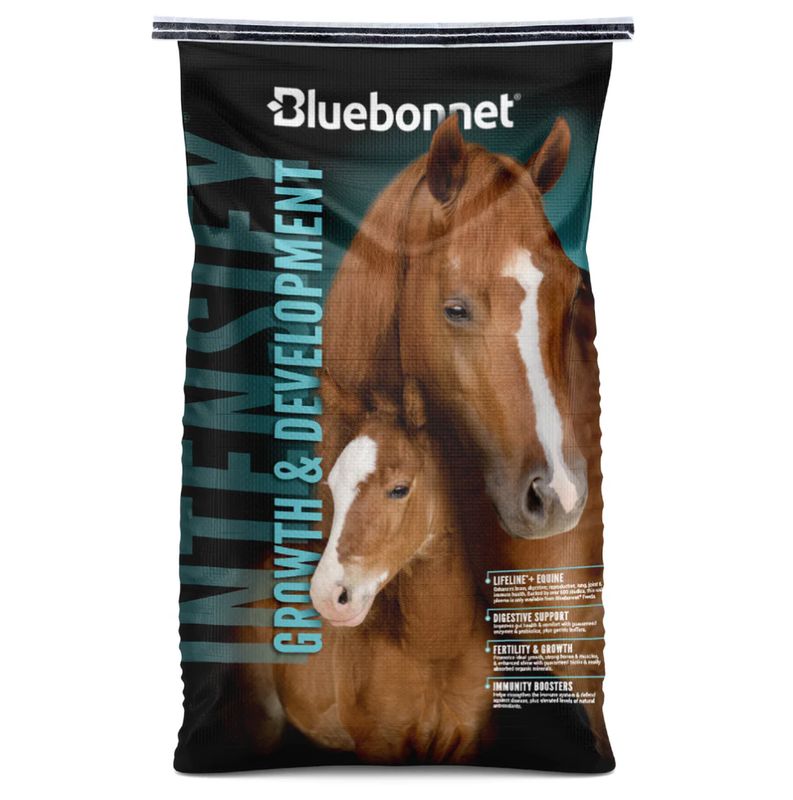 Bluebonnet Intensify Growth & Developement